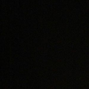 Meet your Posher, Daisy